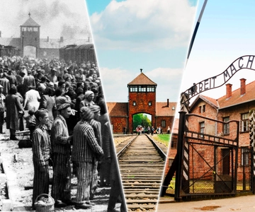 Da Cracovia: Tour di Auschwitz-Birkenau con trasporto