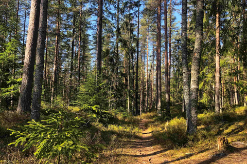 Oslo Forest & Folklore Hike