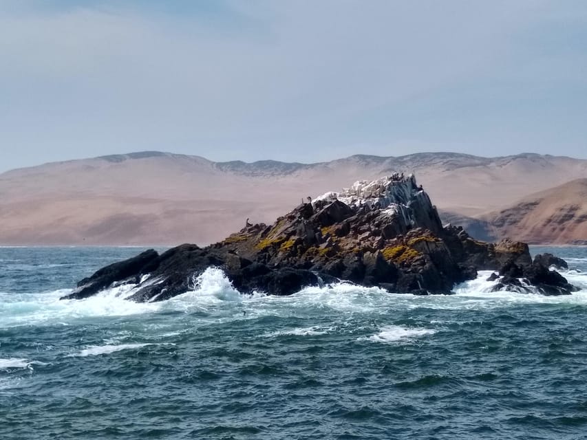 Galería de fotos para redes