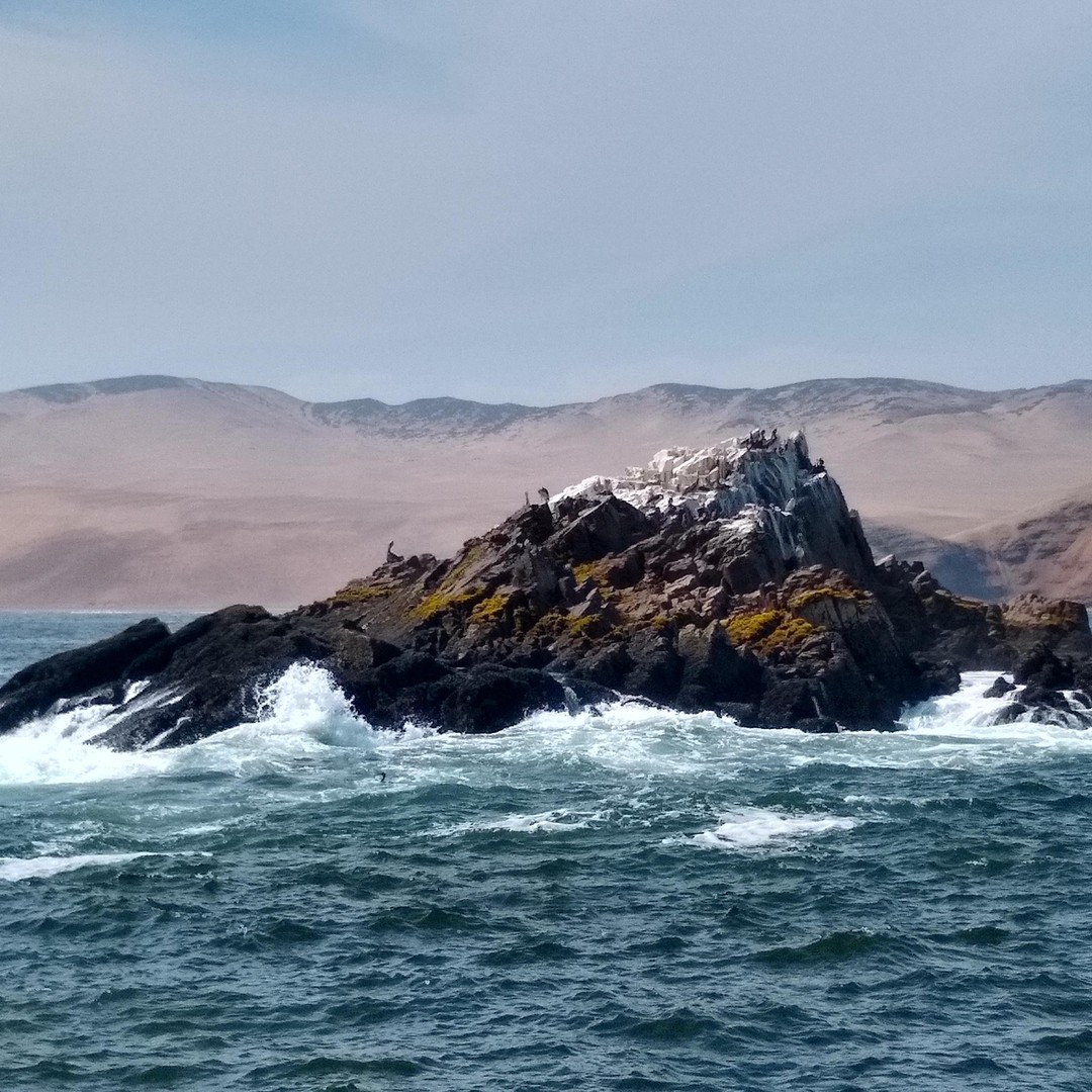 Galería de fotos para redes