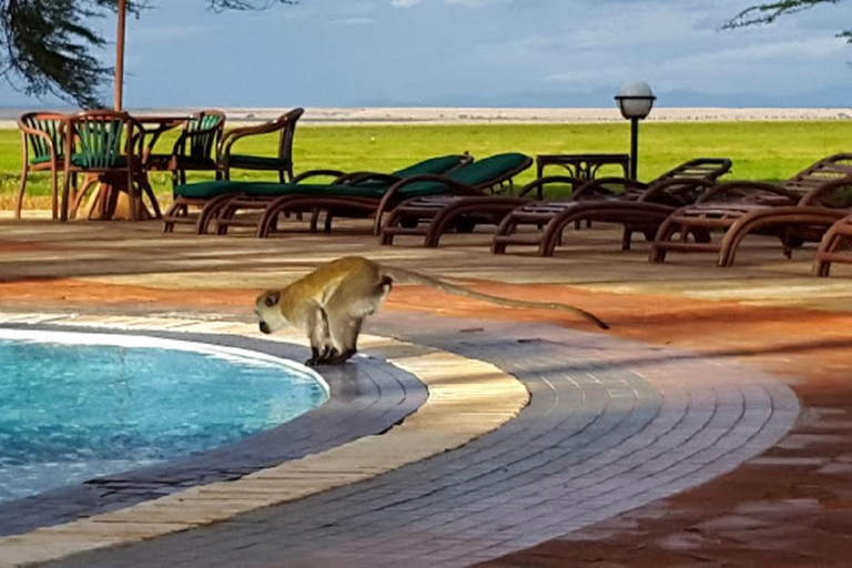 Tour di un giorno del Parco Nazionale di Amboseli e visita al villaggio Maasai