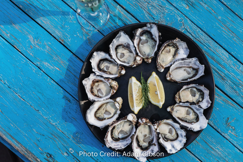 Bruny Island: Guided Sightseeing Tour (8hr Private Tour)