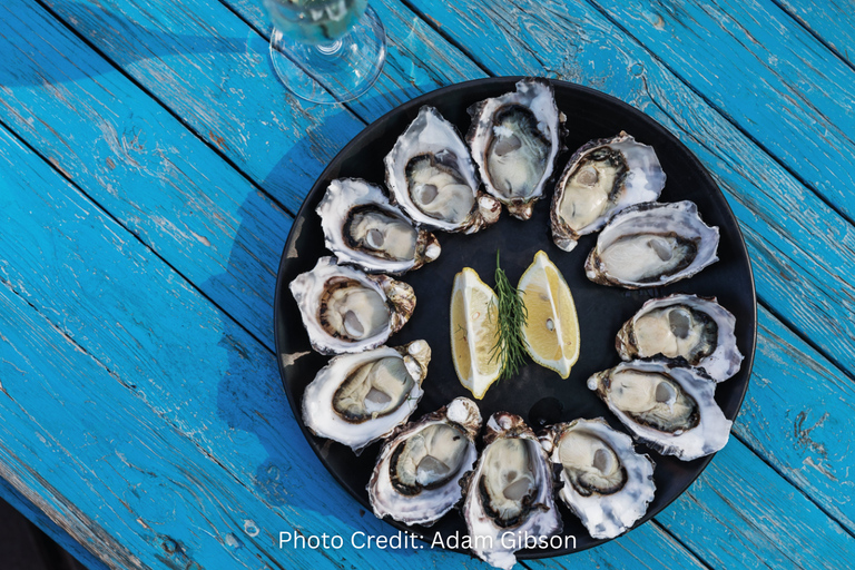 Bruny Island: Guided Sightseeing Tour (8hr Private Tour)