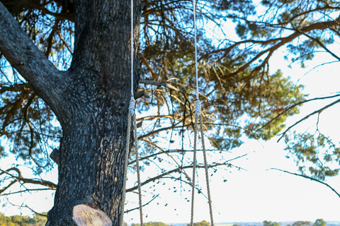 McLaren Vale South: Hop-On Hop-Off Bus Tour South McLaren Vale Tour with City Pickup at 10:00 AM