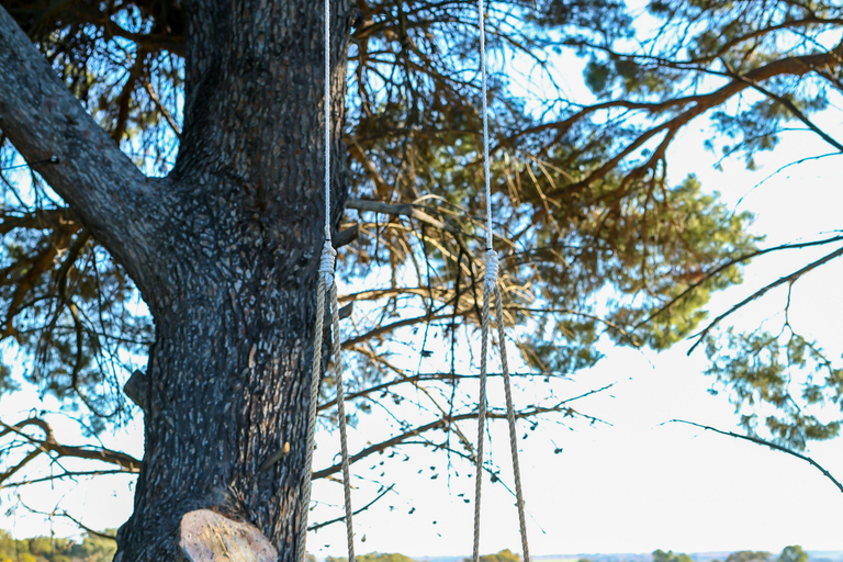 McLaren Vale South: Hop-On Hop-Off Bus Tour South McLaren Vale Tour with City Pickup at 10:00 AM