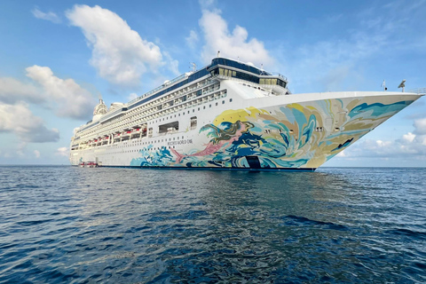 Da Da Nang: Dal porto di Tien Sa al Ponte d'Oro in tour privato