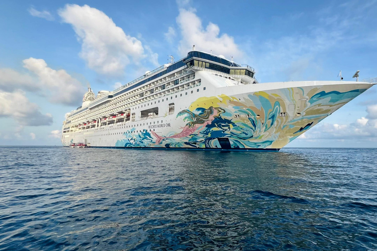 Z Da Nang: Port Tien Sa do Złotego Mostu w ramach prywatnej wycieczki