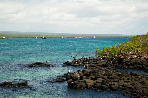 Galápagos Explorer: Santa Cruz & Isabela 6-Day Adventure