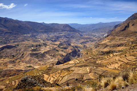 From Arequipa: Colca Canyon and Condor Watching Day Trip