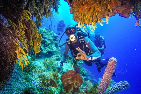 Punta Cana: Poznaj linię brzegową dzięki naszemu doświadczeniu w nurkowaniuDoświadczenie w nurkowaniu w wodach otwartych