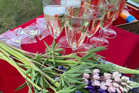 Trakai Hot Air Balloon Flight with Champagne & Small Gifts