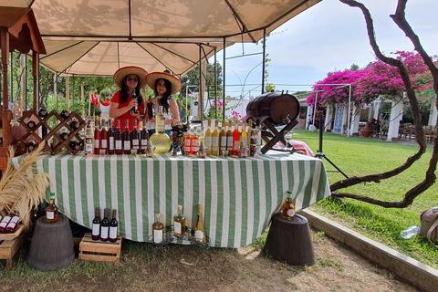 Huacachina: Pisco Route and a visit to the city of Ica