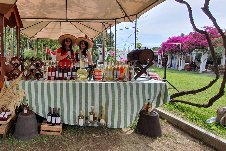 Huacachina: Pisco Route and a visit to the city of Ica