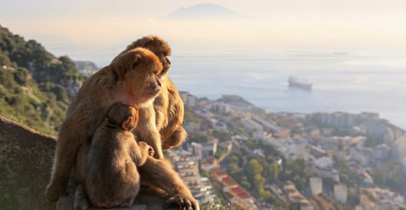 From Málaga: Gibraltar + white village with free time