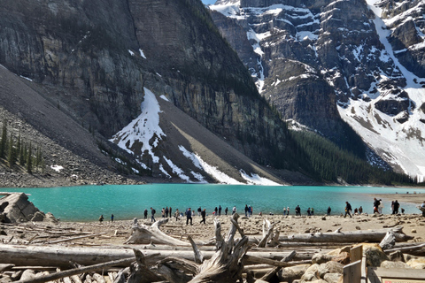 From Banff: Moraine Lake and Lake Louise Half Day Tour