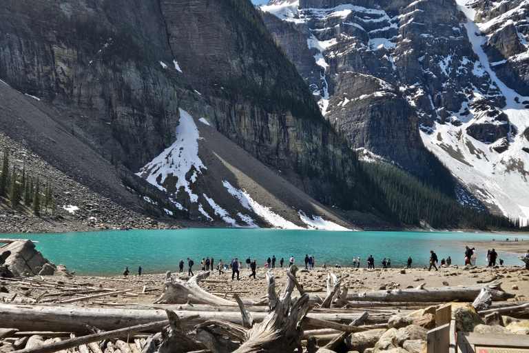 From Banff: Moraine Lake and Lake Louise Half Day Tour