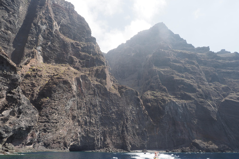 Tenerife: 1-hour Jet Ski Safari in Los Gigantes Individual Jet Ski Safari