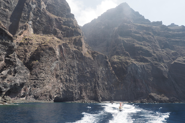 Tenerife: 1-hour Jet Ski Safari in Los Gigantes Individual Jet Ski Safari