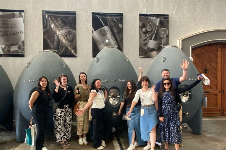 Farellones and Casablanca Valley: Private Mountain Tour and Premium Wines