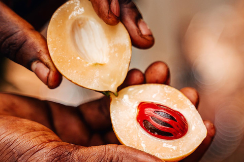 Zanzibar : excursion d'une demi-journée à la ferme aux épices et dans la forêt de Jozani