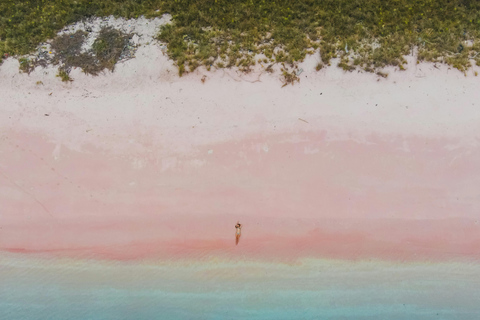 Labuan Bajo: Komodo Dragon Island Full-Day Guide Tour