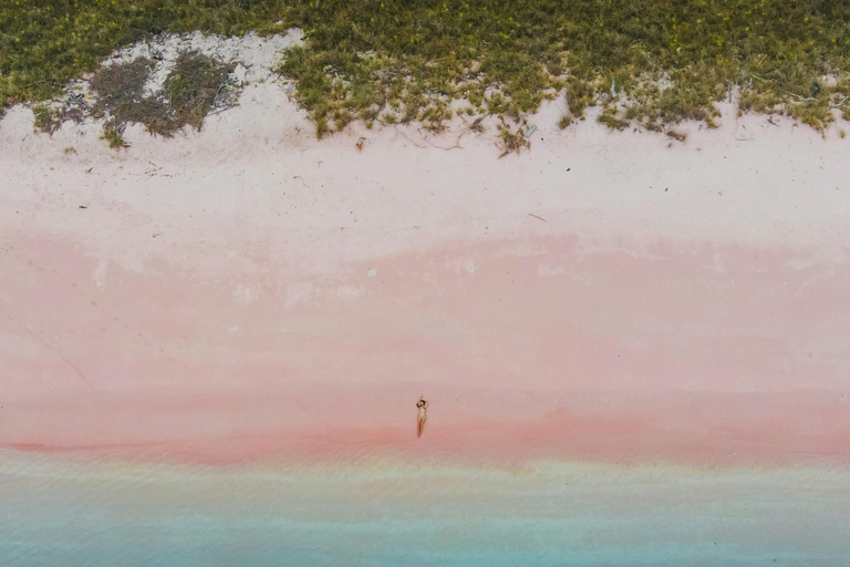 Labuan Bajo: Komodo Dragon Island Full-Day Guide Tour