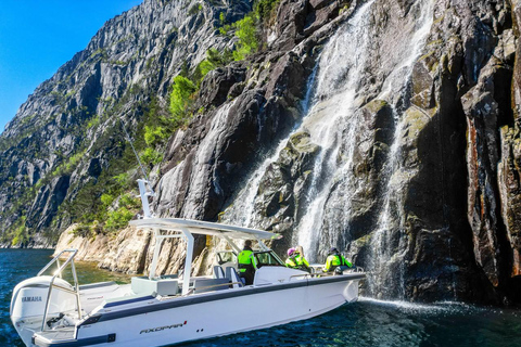 Excursão de minibus ao Lysefjord e safari de lancha opcionalPasseio de minibus pelo Lysefjord