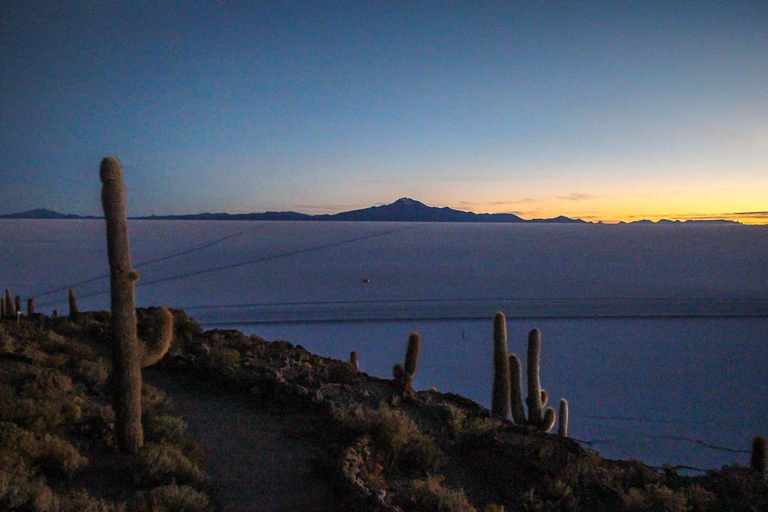 Z Uyuni: 3-dniowa wycieczka po słonych ...