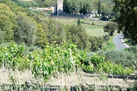 Béziers : Vinresor &amp; Vinprovning