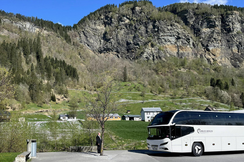 Scenic Hardangerfjord with Waterfalls & Lunch at a Garden 