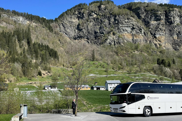 Scenic Hardangerfjord with Waterfalls & Lunch at a Garden 