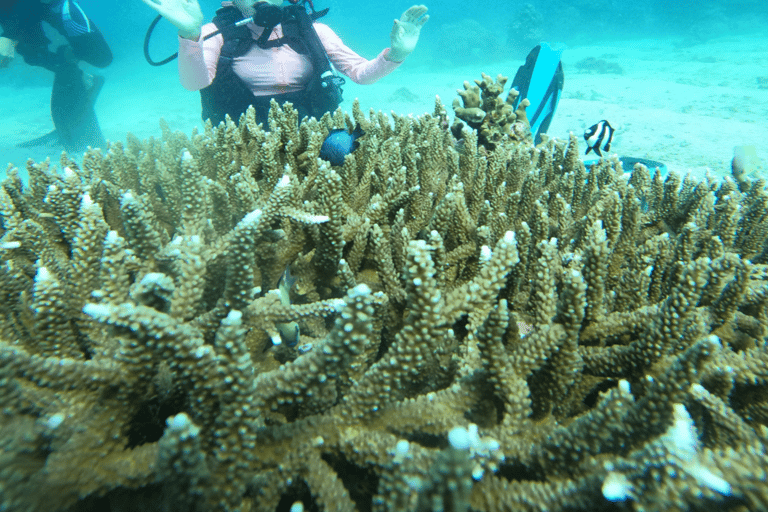 Boracay: Discover Scuba Diving | Pickup at the Hotel