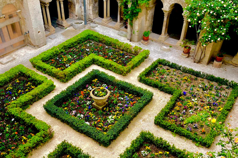 追随梵高的脚步