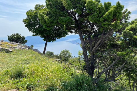 Vanuit Tivat: Vrmac Hill Scenic Hike boven de Boka-baaiVanuit Tivat: mooie wandeling op de Vrmac-heuvel boven de baai van Boka