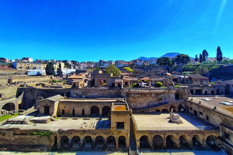 Sorrento: Herculaneum Day Trip with Entry and Lunch