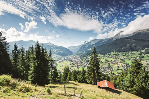 Zurych: Jednodniowa wycieczka do Grindelwald i Interlaken autobusem i pociągiem