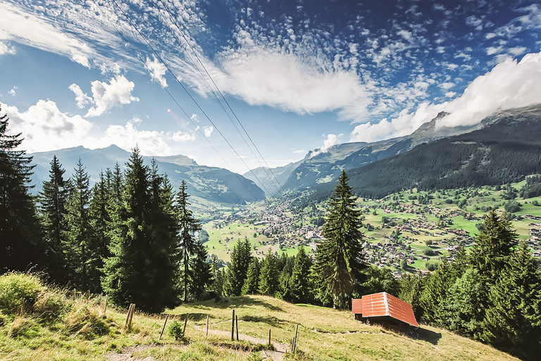 Zurich : Excursion d'une journée à Grindelwald et Interlaken en bus et en train