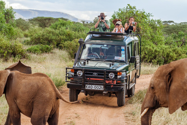 3-Day Tanzania Safari: Tarangire, Ngorongoro from Zanzibar