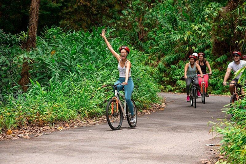 At The Peak, The Blue Mountain Experience in Jamaica At The Peak, The Blue Mountain Experience - From Mandeville