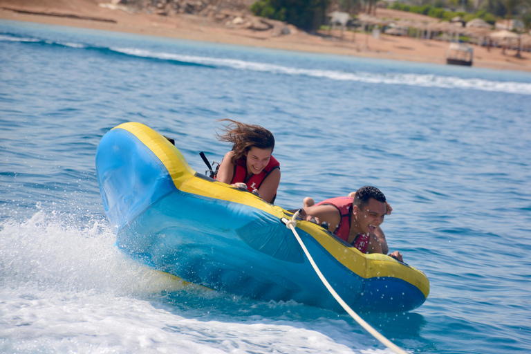 Sharm El Sheikh: Butterfly Ride on the Red Sea