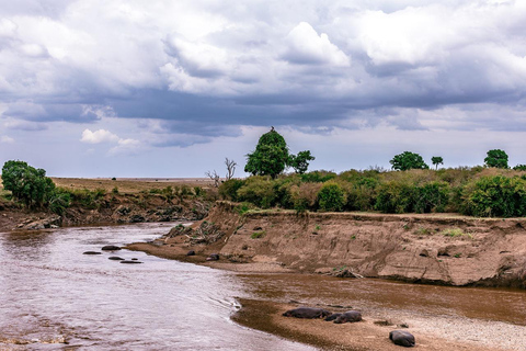 3 jours de safari dans le Masai Mara en 4X4 Land Cruiser à toit ouvert