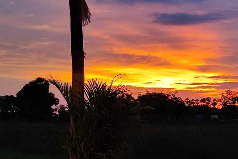 Kleingruppentouren zum Sonnenuntergang auf dem LandeDeine Touren sind inklusive Reiseleiter, Fahrrad, Tuk Tuk und Fahrer