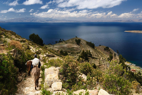 From Puno: Full day to Copacabana and Sun Island