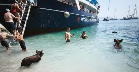 Nydri: VIP All-Inclusive Piggy Cruise & Atokos Swimming Pigs