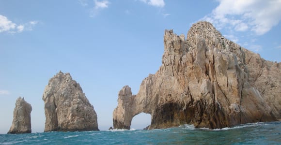 Los Cabos: Whale Watching Tour with Tequila Tasting
