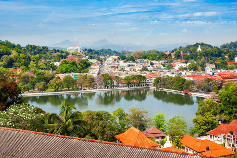 2-Tages-Tour von Kandy aus, Kandy Stadt erkunden / Sigiriya2 Tage Tour mit dem AC Mini Van