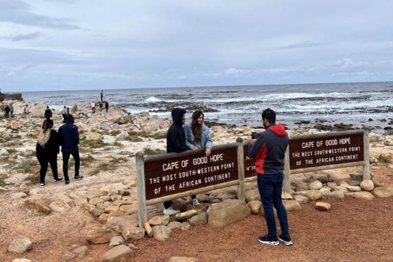 Kapstadt: Kap der Guten Hoffnung und Boulders Beach Private Tour