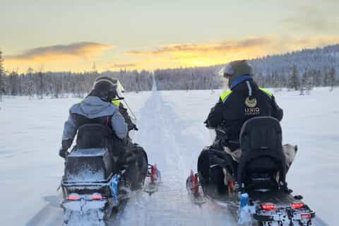 Lappland: Private Schneemobilsafari mit arktischem ortskundigem Guide