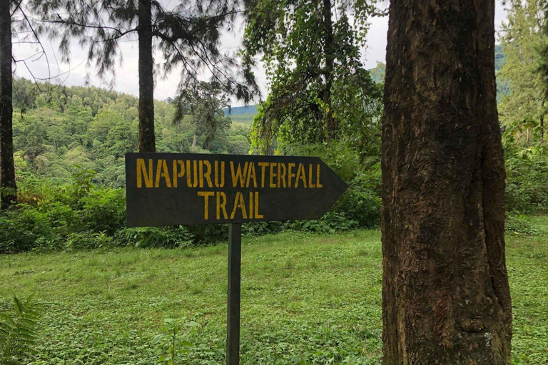 Arusha: avventura in quad nella foresta di Meru con guida