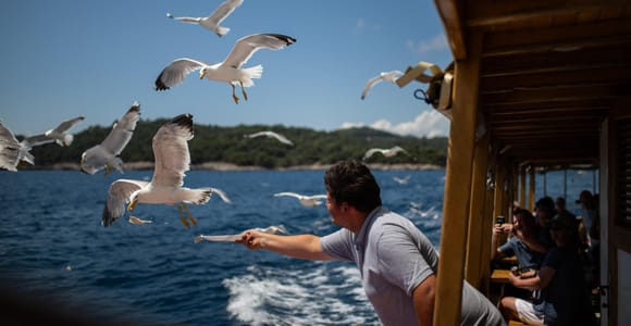 Elaphite Islands & City Walls Cruise with Food and Open Bar